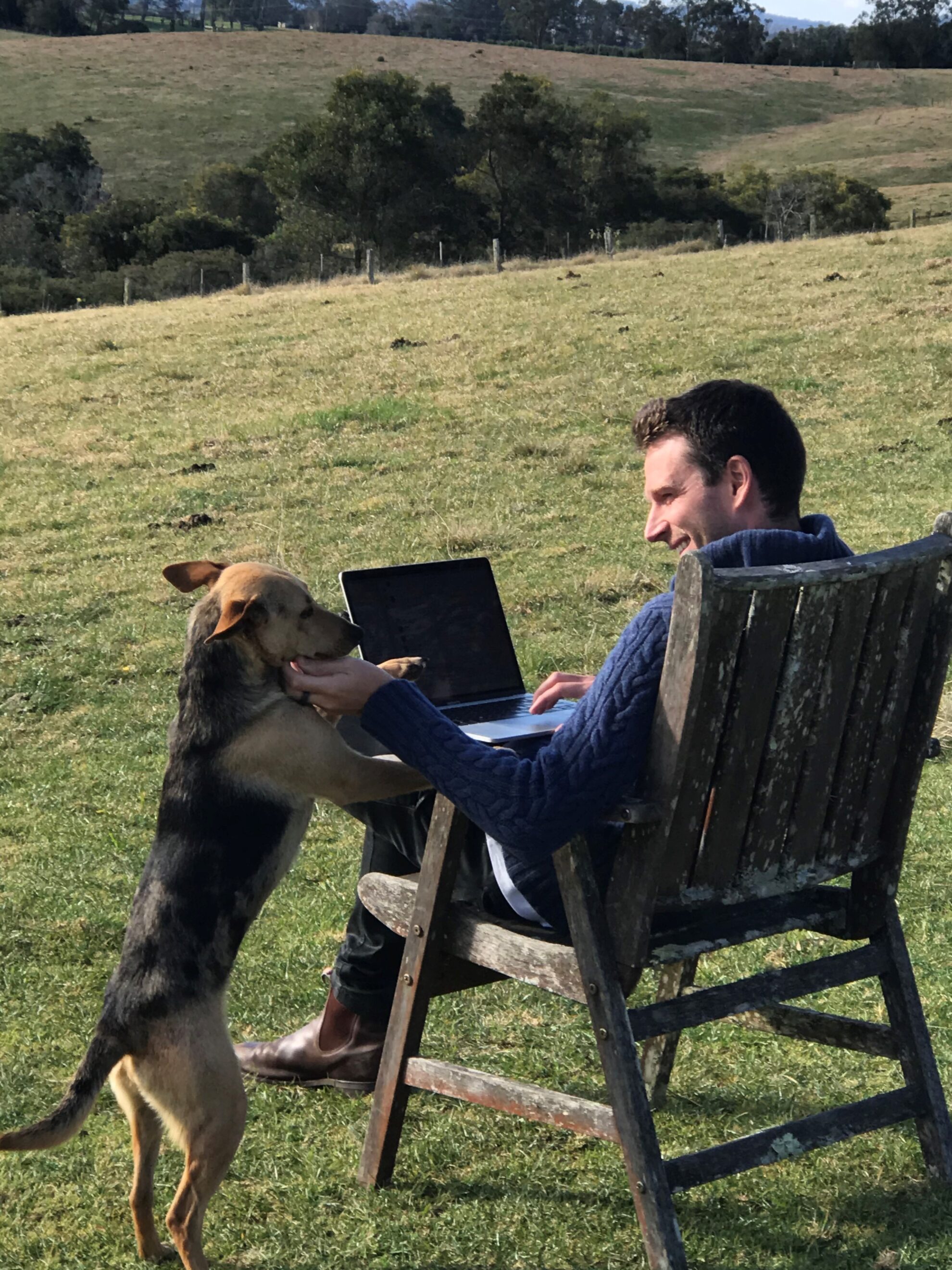Dog friendly accommodation in Dorrigo - Michael Batko